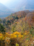 六十里越ライド_紅葉2