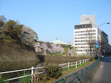 20090406TOKYOサイクリング_日本武道館