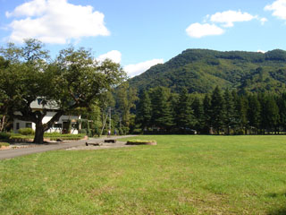 GreenFieldえむ2