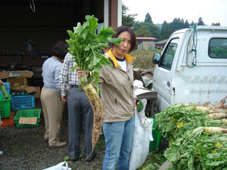 西蔵王_高原野菜直売所_大根2