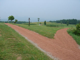 安比高原牧場2