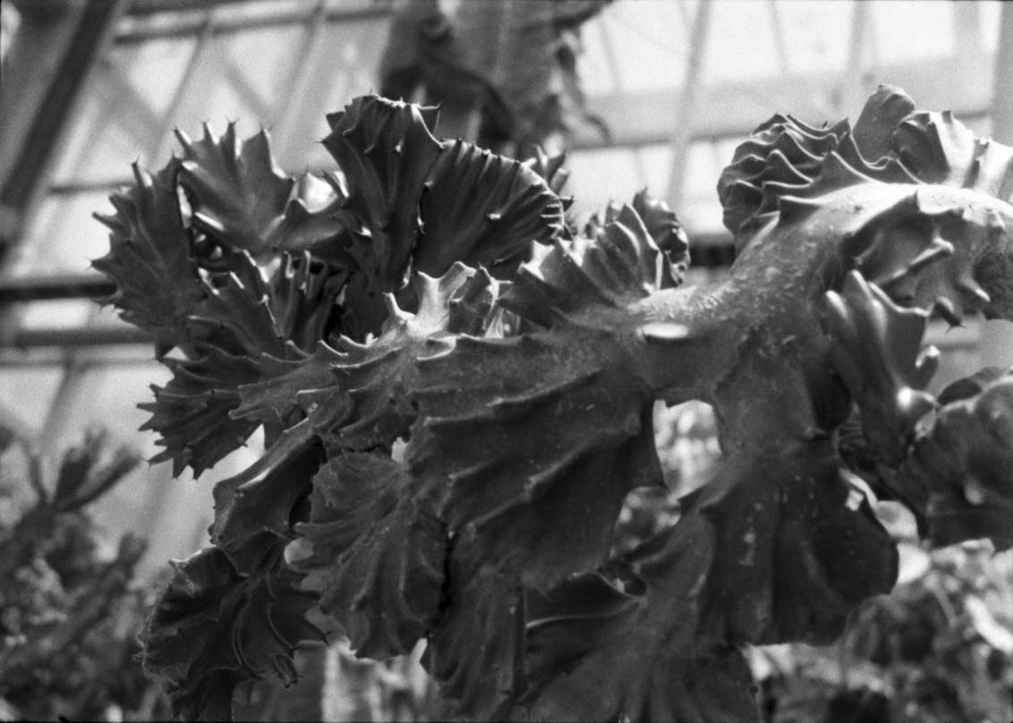 ♪♪ソフトな写り♪♪京セラ KYOCERA SAMURAI Z2#220448 ♪♪ソフトな写り♪♪京セラ KYOCERA SAMURAI Z2#220448 ♪♪ソフトな