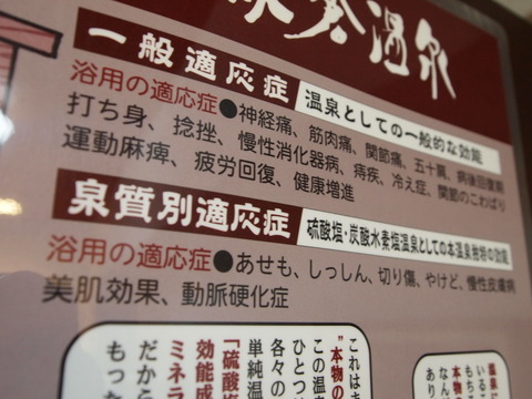 P6242691