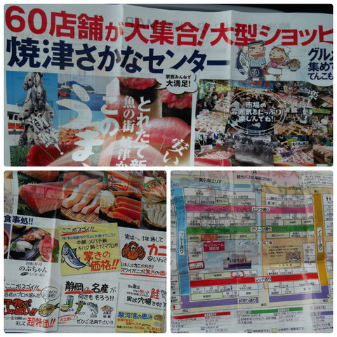 collage_photocat