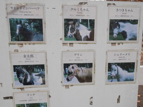 FotoJet - 2024-05-08T043944.236