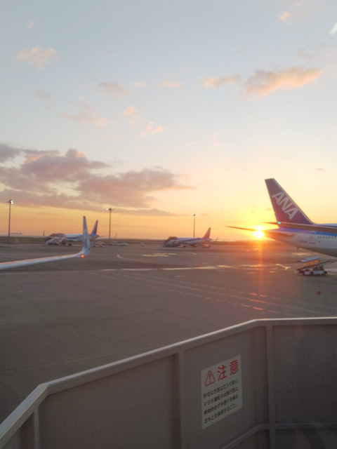 FotoJet - 2024-05-08T035359.968