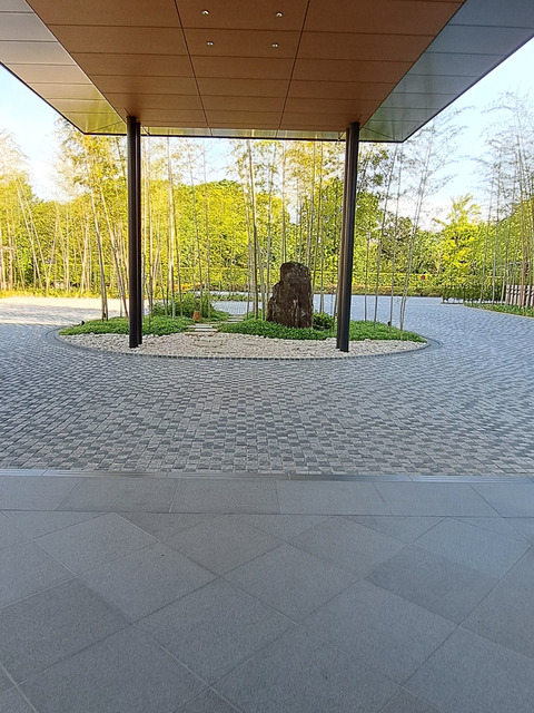 FotoJet - 2025-05-19T143229.009