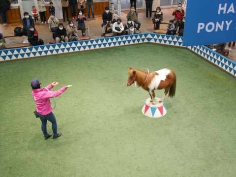 FotoJet - 2024-05-08T045305.276