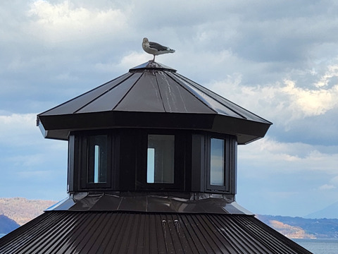 FotoJet - 2024-05-21T132751.453