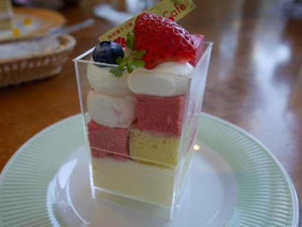 P1030353 (Custom) (Custom)