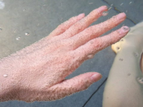 FotoJet - 2024-04-04T152658.973