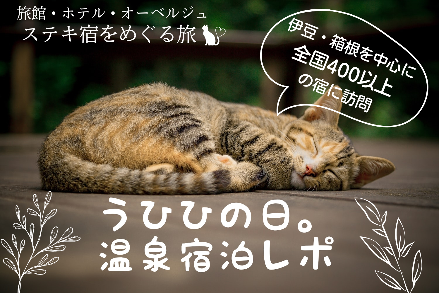 2018 箱根吟遊 露天風呂付き客室・続き ③ : うひひの日