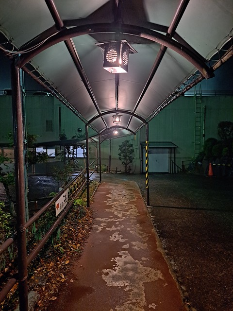 20231212_190235