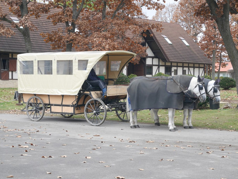 FotoJet - 2024-05-08T044052.007