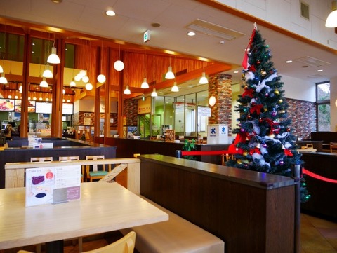 P1060866 (Custom) (Custom)