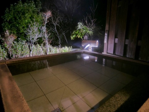 P1080534 (Custom) (Custom)