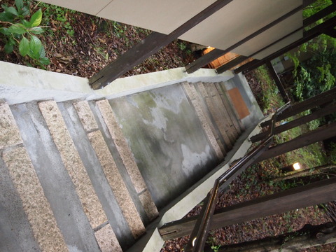 P9193606