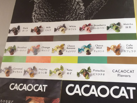 FotoJet - 2024-06-09T162928.703