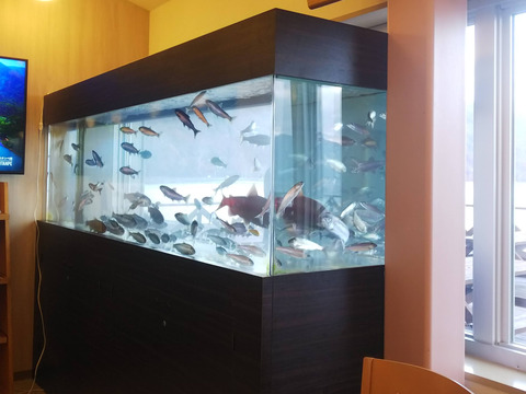 FotoJet - 2024-05-20T012848.053