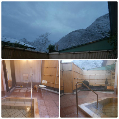 collage_photocat