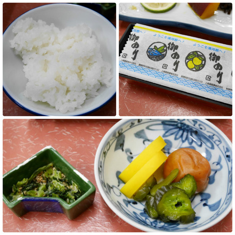 collage_photocat