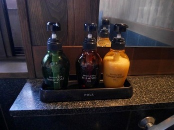 P1070665 (Custom) (Custom)