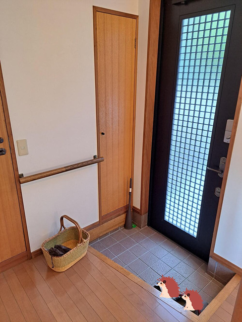 tv1JtfiogYj1BLY1707823653_1707823703