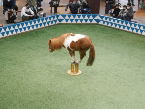 FotoJet - 2024-05-08T045411.841