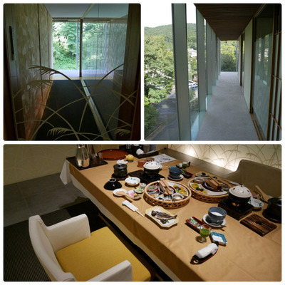 collage_photocat