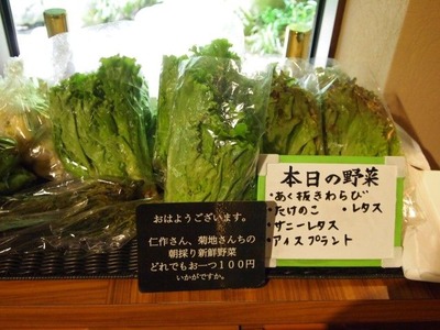 P5288975
