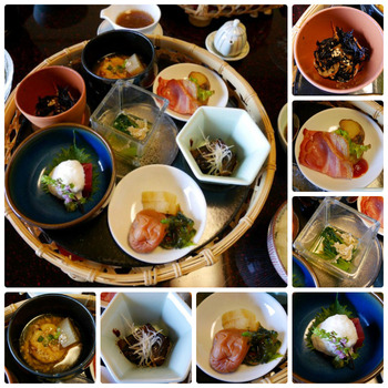 collage_photocat