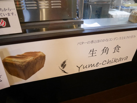 FotoJet - 2024-05-08T050312.899