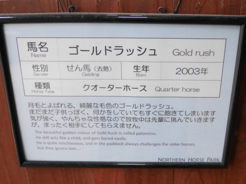 FotoJet - 2024-05-08T045218.708