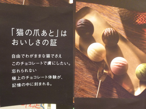 FotoJet - 2024-06-09T163230.723