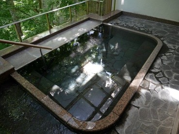 P1150305 (Custom) (Custom)