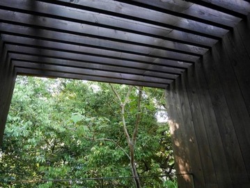 P1150761 (Custom) (Custom)