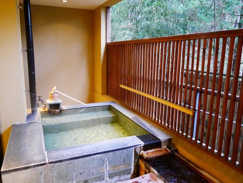 P1070018 (Custom) (Custom)