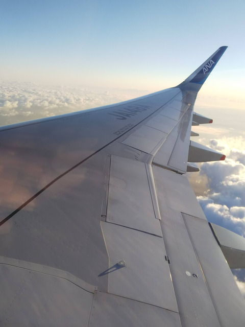 FotoJet - 2024-05-08T035420.512