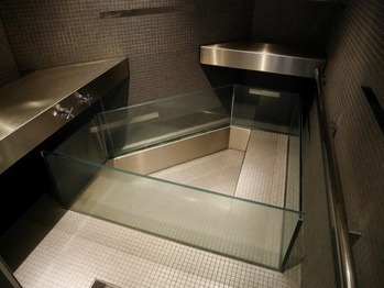 P1150034 (Custom) (Custom)