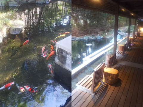 FotoJet - 2025-08-29T175147.765