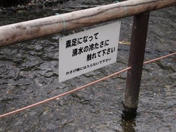 P6113311