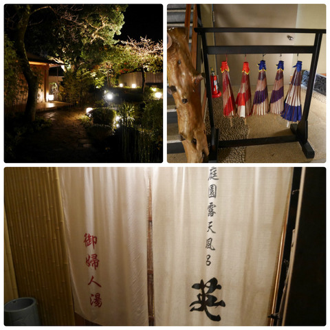 collage_photocat