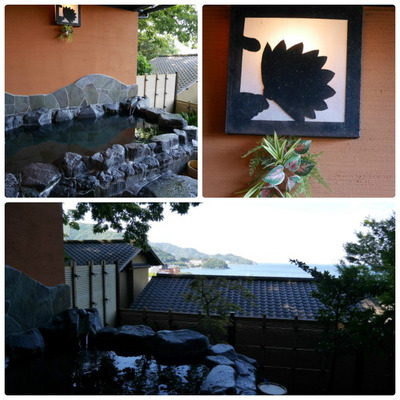 collage_photocat