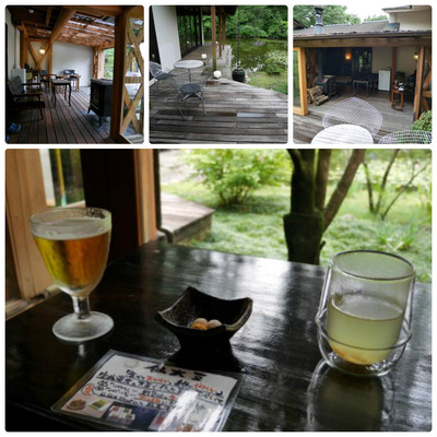 collage_photocat