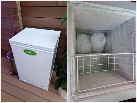 FotoJet - 2024-02-17T162819.548