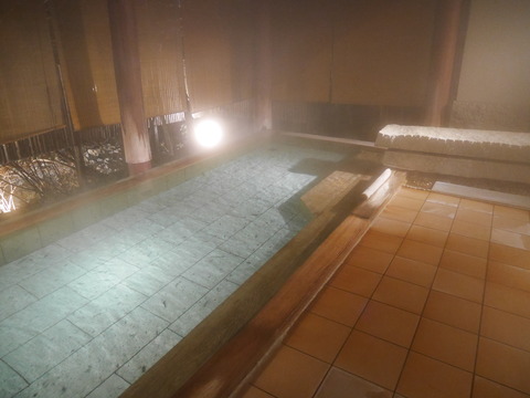 P1700011