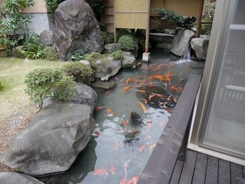 P1100152 (Custom) (Custom)