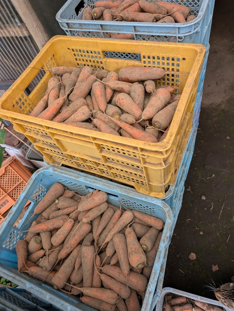 PXL_20250930_214350264