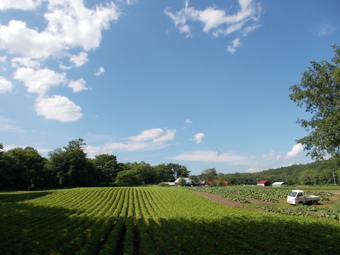 DSCN0083