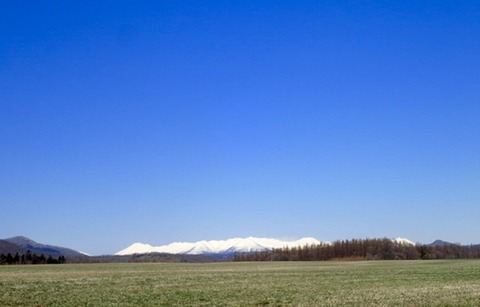 P4303431